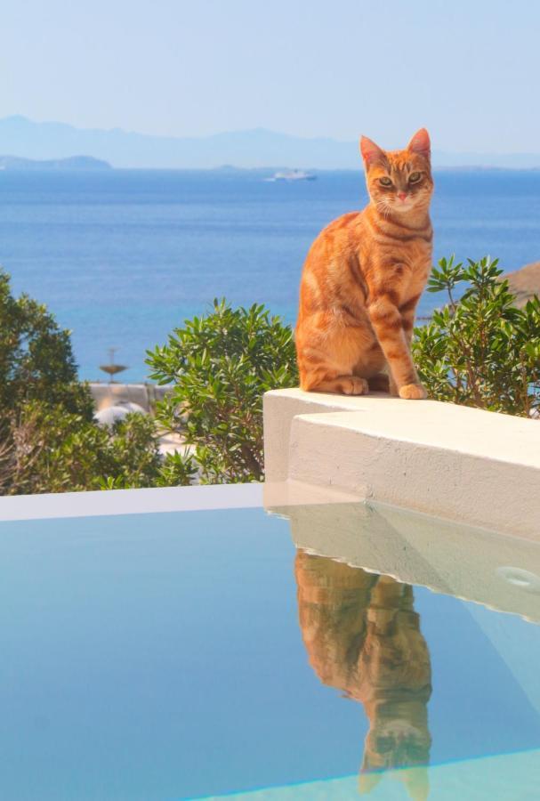 Villa With View Of Agios Ioannis And Pool With Jacuzzi Exterior photo